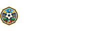世界杯决赛直播